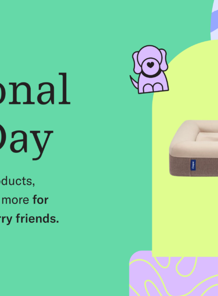 National Pet Day Essentials